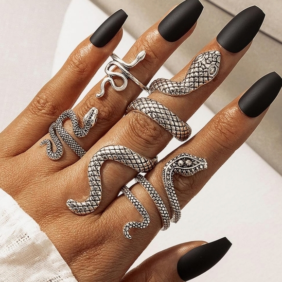 Silver Snake Jewelry Set - Picture 2 of 4